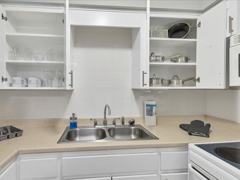 شقة Designed And Cozy 1Br With Parking Near Stores تامبا المظهر الخارجي الصورة